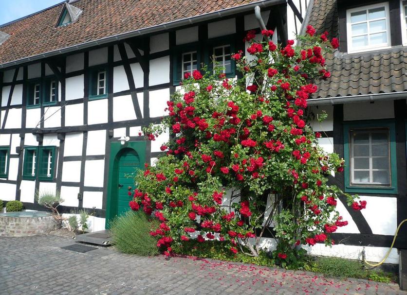 Außenansicht Foto