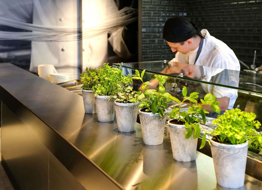 Restaurant Foto