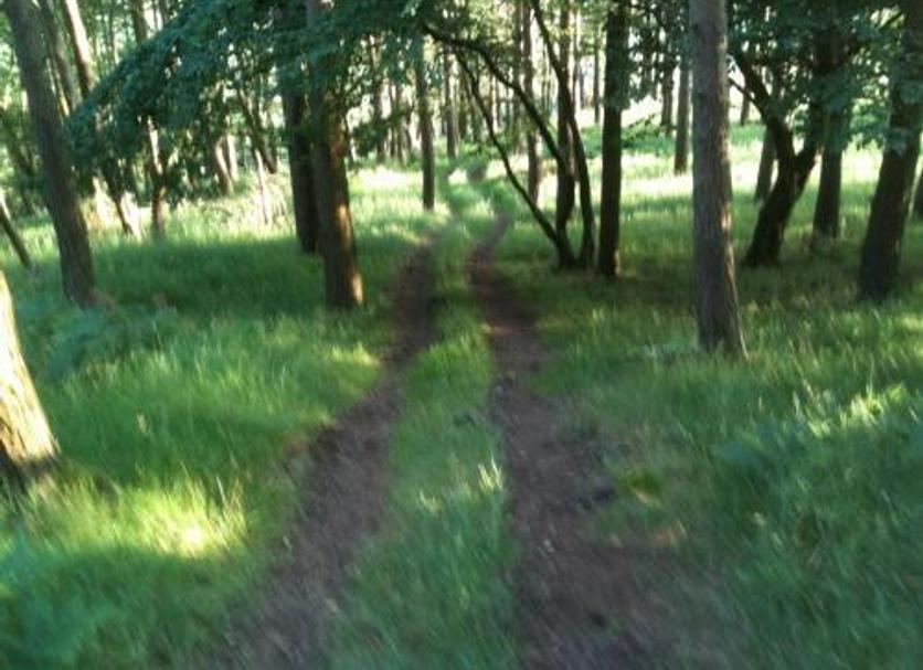 Außenansicht Foto