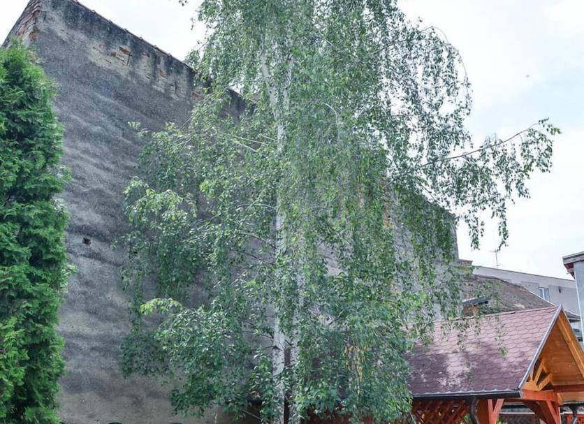 Außenansicht Foto