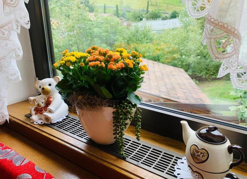 Zimmerausstattung Foto