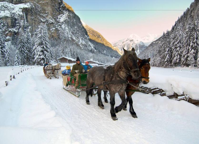 Sonstige Foto