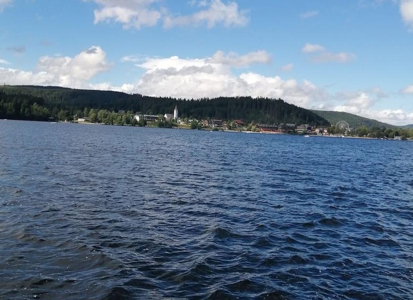 Sonstige Foto