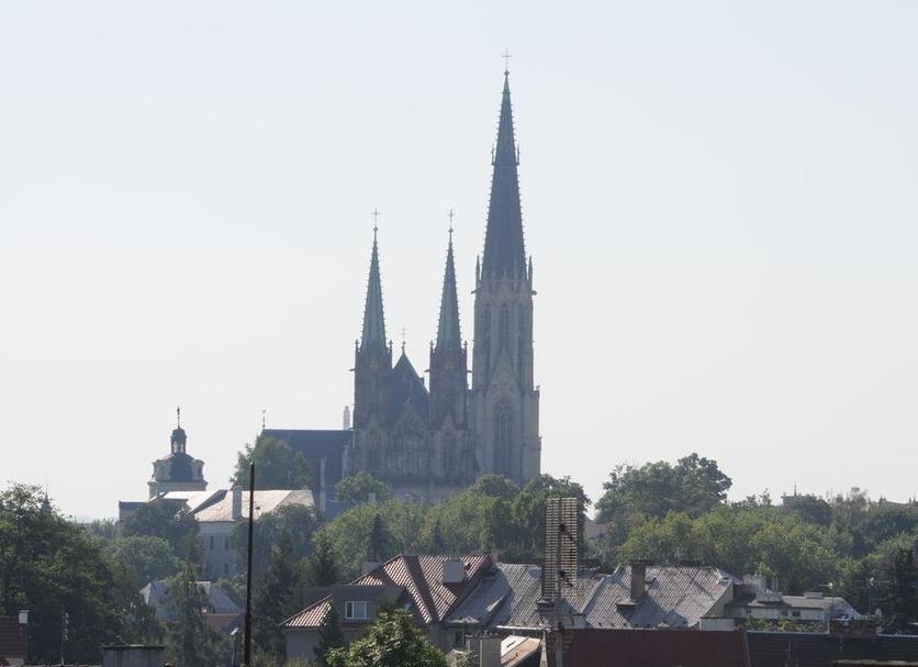 Sonstige Foto