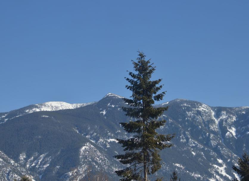 Außenansicht Foto