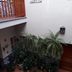 Sonstige