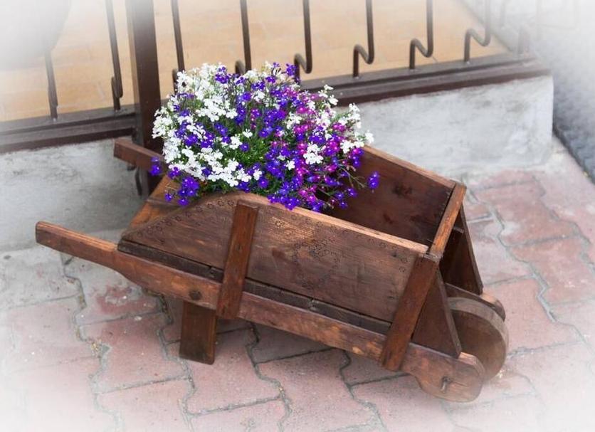 Sonstige Foto