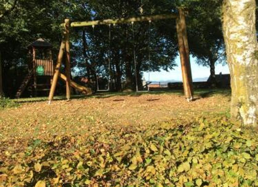 Sonstige Foto