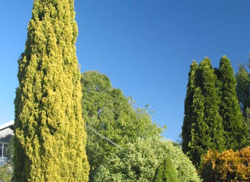 Außenansicht Foto