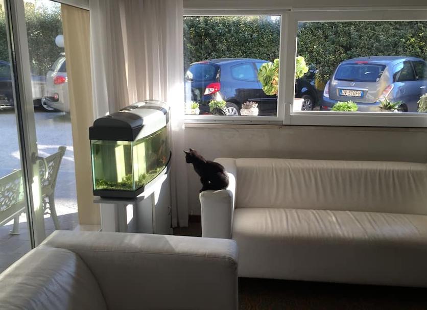 Wohnzimmer Foto