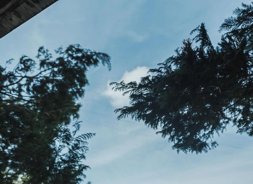 Außenansicht Foto