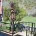Sonstige