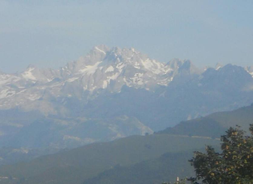 Außenansicht Foto