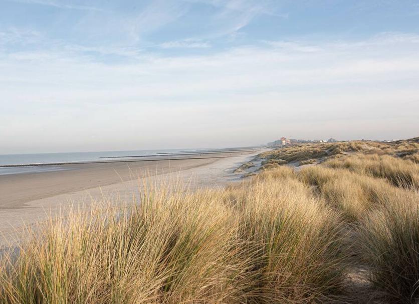 Strand Foto