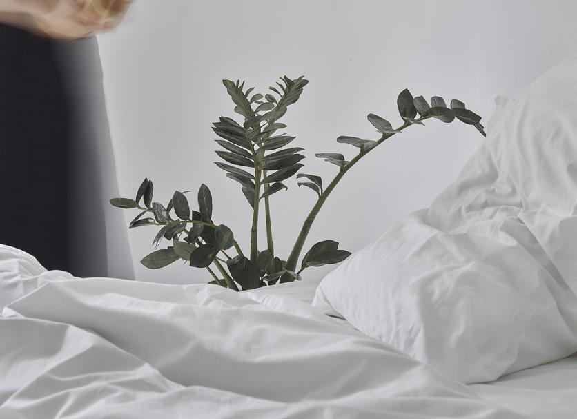 Zimmerausstattung Foto