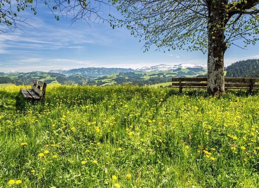 Außenansicht Foto