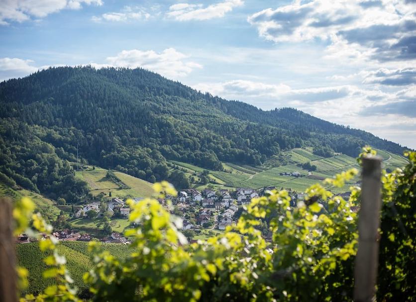 Außenansicht Foto