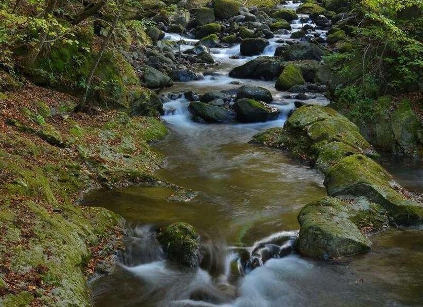 Sonstige Foto