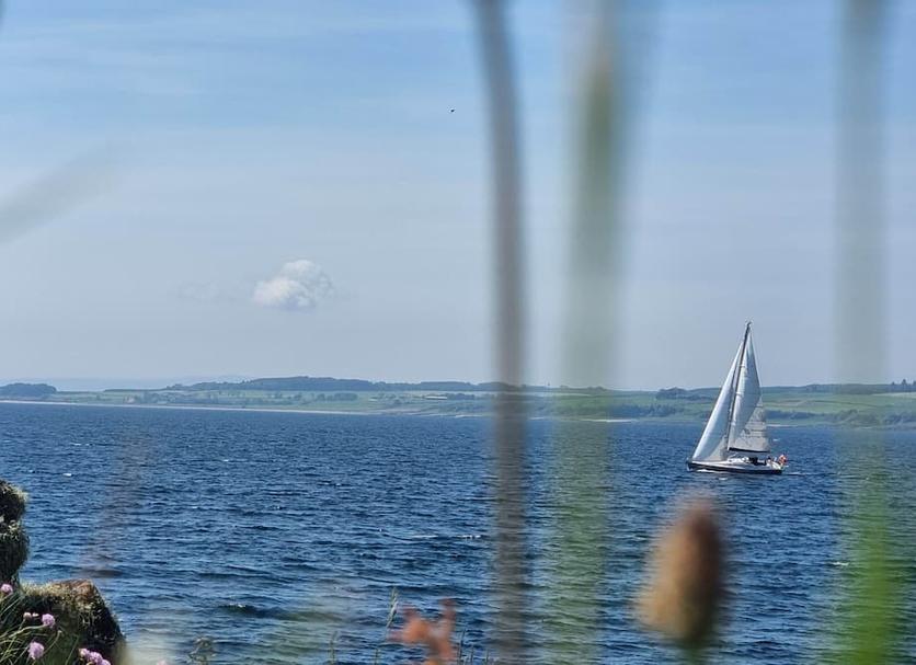 Sonstige Foto