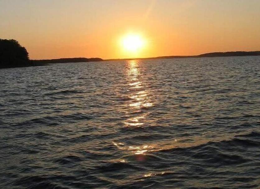 Sonstige Foto