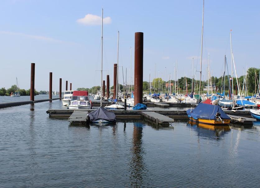 Sonstige Foto