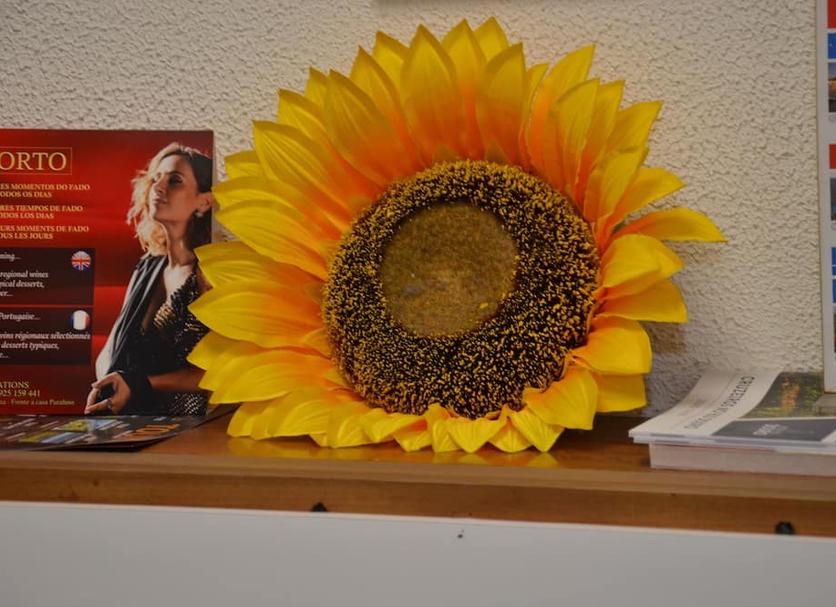 Sonstige Foto
