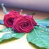 Sonstige
