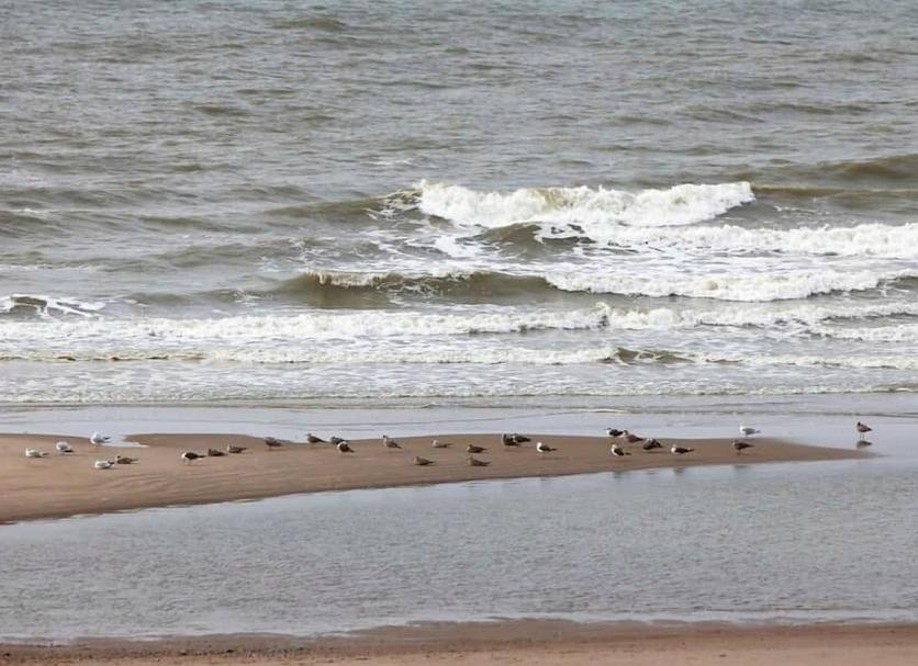Strand Foto