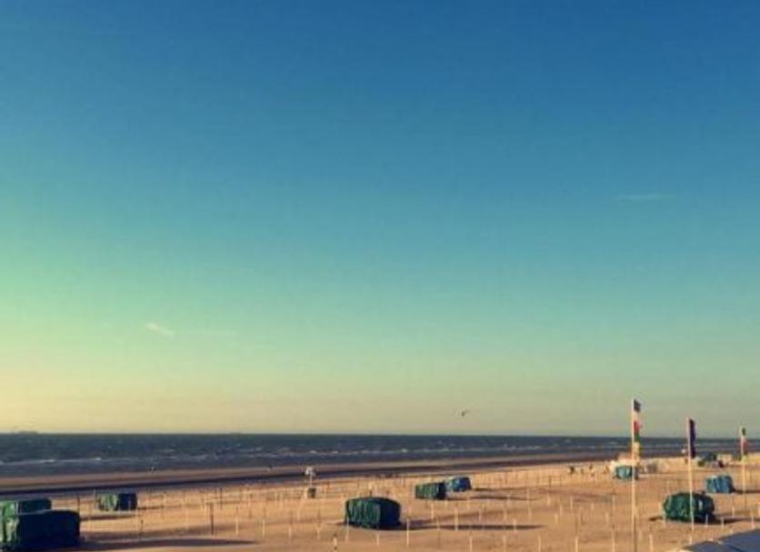Sonstige Foto