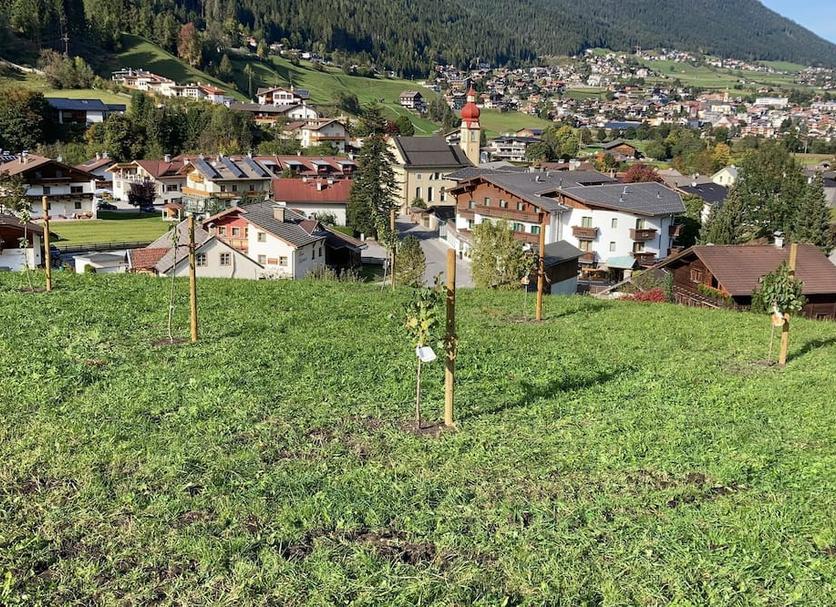 Außenansicht Foto