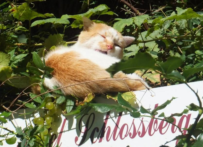 Außenansicht Foto