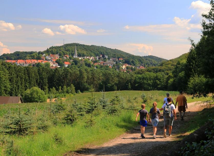 Sonstige Foto