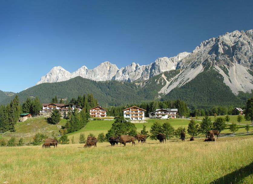 Außenansicht Foto