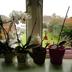 Sonstige