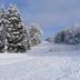 Sonstige