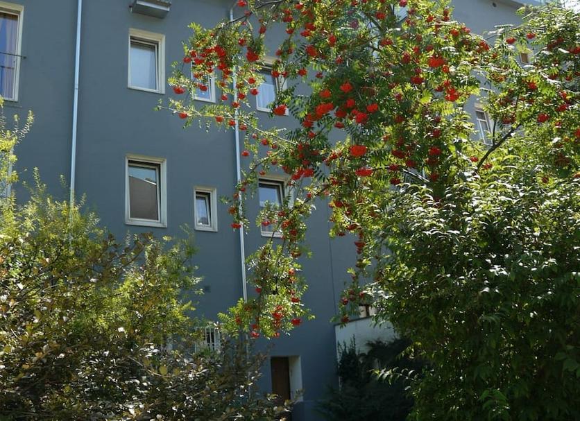 Außenansicht Foto