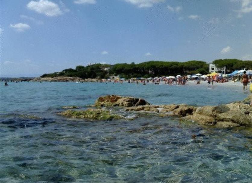 Sonstige Foto