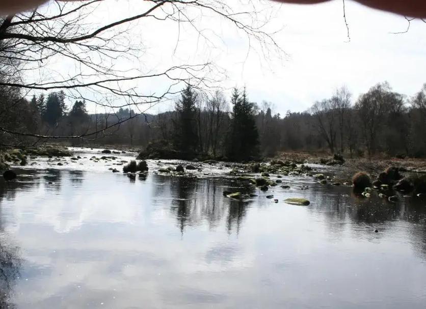 Sonstige Foto