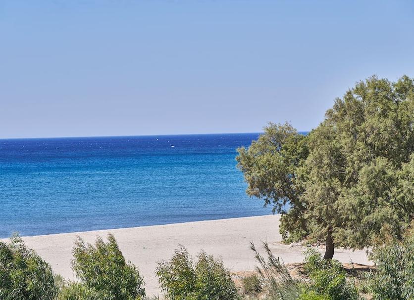 Strand Foto