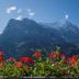 Sonstige