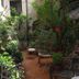 Innenhof