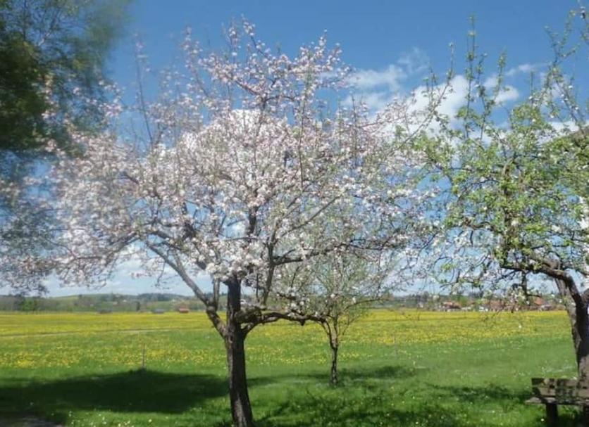 Außenansicht Foto