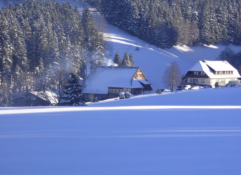 Sonstige Foto
