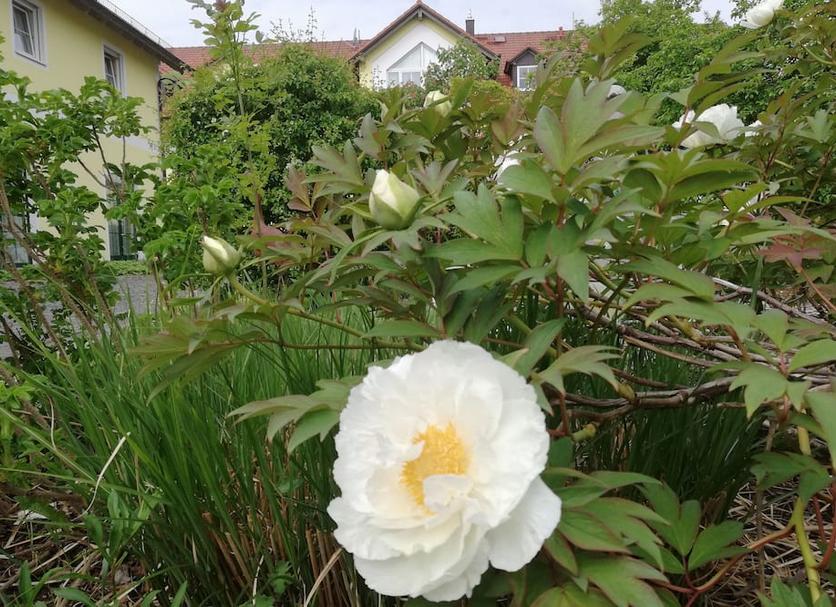 Außenansicht Foto