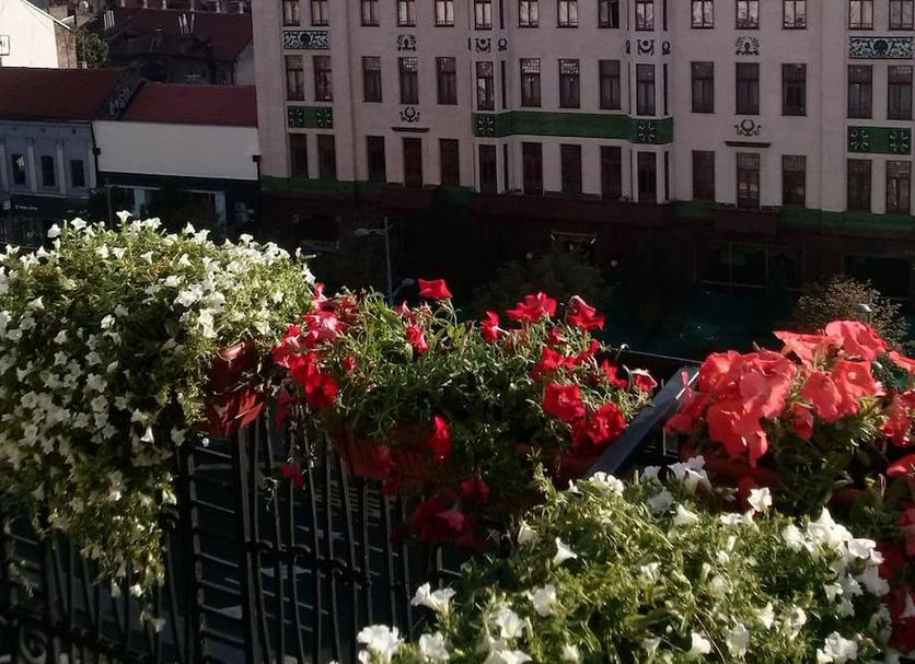 Außenansicht Foto