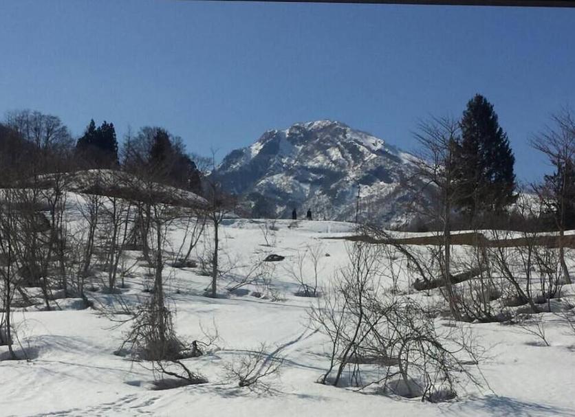 Außenansicht Foto