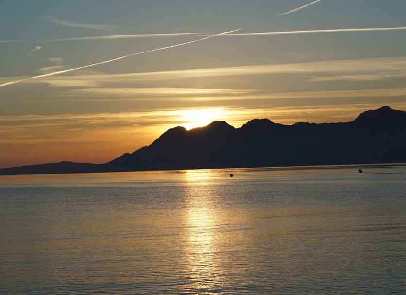 Sonstige Foto