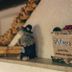 Zimmerausstattung