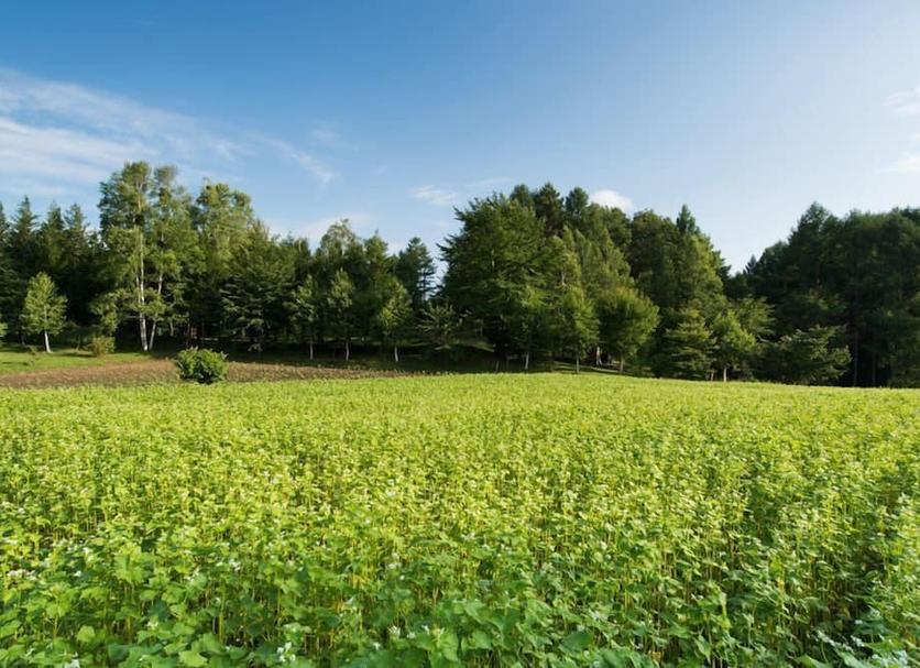 Außenansicht Foto