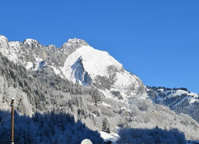 Sonstige Foto